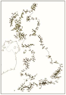 Historical Analysis Exposes Catastrophic Seagrass Loss for the United Kingdom